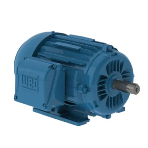 WEG Motor